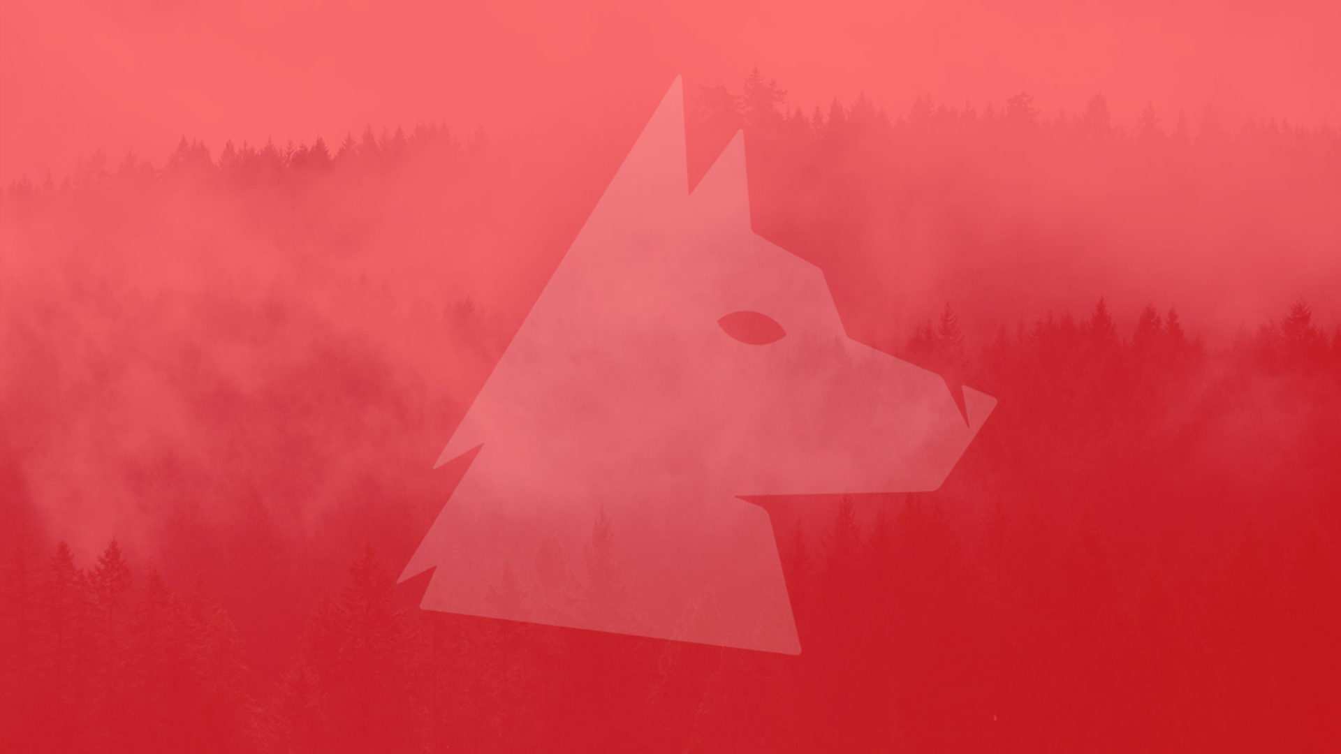 Bright Wolf – Advisory and Capital Solutions